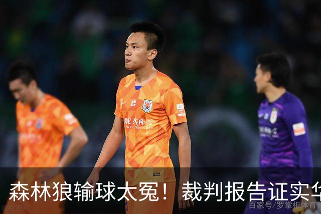 森林狼输球太冤！裁判报告证实华子关键球被犯规：两次错漏判都是骑士获利