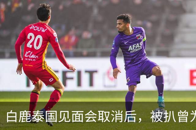 白鹿泰国见面会取消后，被扒曾为缅北拍宣传片，知情人爆更多内幕
