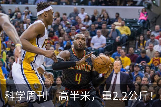 科学周刊｜高半米，重2.2公斤！霸王滇菌是怎么长到这么大的？大风新闻专访微生物研究专家