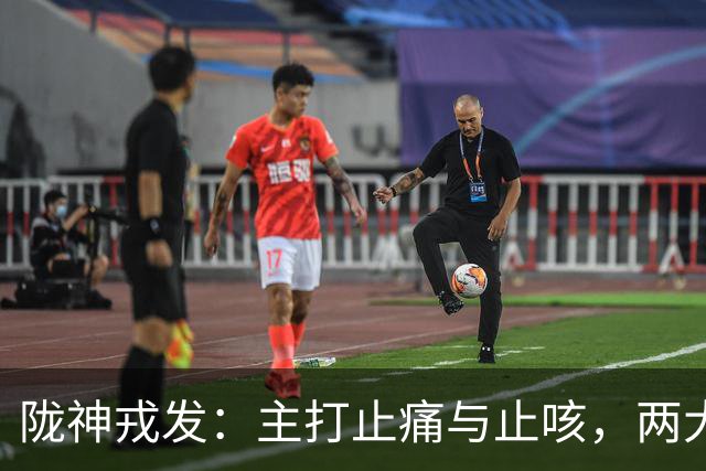 陇神戎发：主打止痛与止咳，两大独家中药保护品种构筑壁垒！