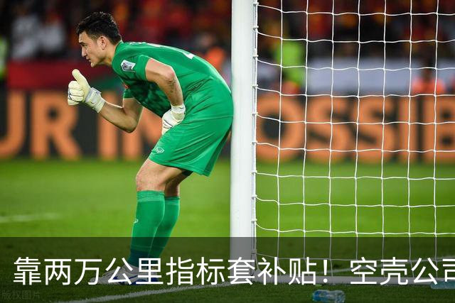 靠两万公里指标套补贴！空壳公司卷走三个亿，全甩给底层买单